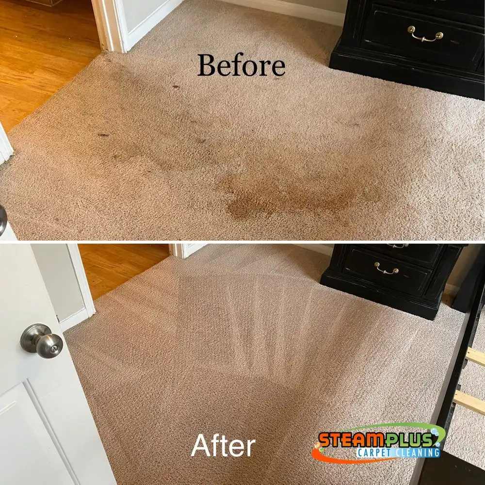 Before After Steamplus cleaning (1) Before After Steamplus cleaning (1)